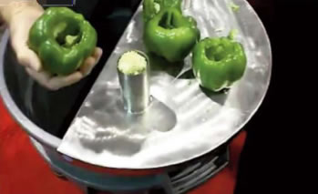 Lettuce Chopper/Fruit Chunker